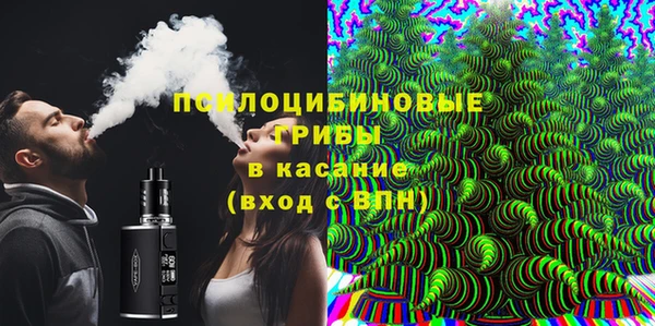 ПСИЛОЦИБИНОВЫЕ ГРИБЫ Балахна