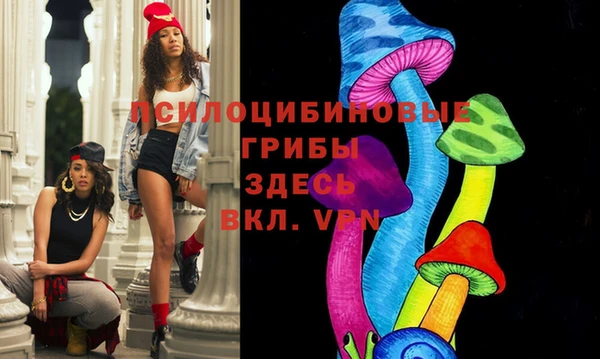 ПСИЛОЦИБИНОВЫЕ ГРИБЫ Балахна