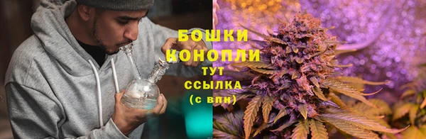 ПСИЛОЦИБИНОВЫЕ ГРИБЫ Балахна