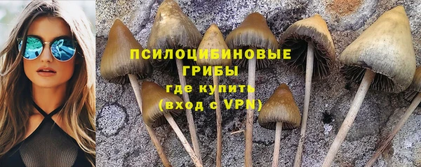 mix Баксан